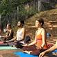 7 Days Yoga for Beginner Course in Rishikesh event image