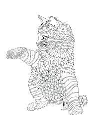 Pypus is now on the social networks, follow him and get latest free coloring pages and much more. Pin On Colouring