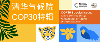 大使观察｜蒋心宇：在传统与科技之间寻找气候方案的支点- 中国 ...