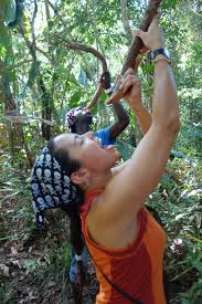 Conditions in the suriname colony deteriorated further. Santigron Maroon Villages Of Suriname Karina S Extraordinary Life