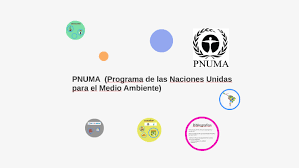 Post the definition of pneuma to facebook share the definition of pneuma on twitter. Pnuma Programa De Las Naciones Unidas Para El Medio Ambien By Daniela Sanchez