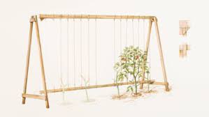 To make the frame even more sturdy, use your hammer and nails and nail the pieces together at the corners. Build An A Frame Tomato Trellis Finegardening