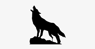 Download transparent wolf howling png for free on pngkey.com. Svg Library Library At The Moon Silhouette Getdrawings Wolf Howling At The Moon Png Transparent Png 510x346 Free Download On Nicepng