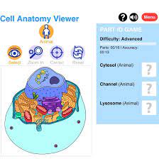 Check spelling or type a new query. Science Lessons That Rock Here Is A Fun Virtual Game To Review Organelles Https Askabiologist Asu Edu Cell Viewer Game Facebook