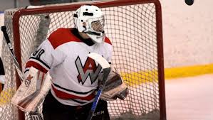 Penguins Cup playoffs preview: Defense strong for West Allegheny