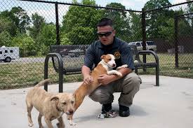 Our adoptable pets change weekly due to our many new. You Can T Buy Love Paws To Offer No Fee Pet Adoptions Local News Northwestgeorgianews Com