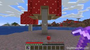 Wait until the grass grows and destroy them with your silk touch shovel. How To Make A Red Mushroom Block In Minecraft