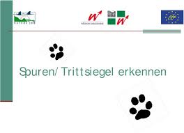 Jeden tag werden tausende neue, hochwertige bilder hinzugefügt. Spuren Trittsiegel Erkennen Pdf Free Download