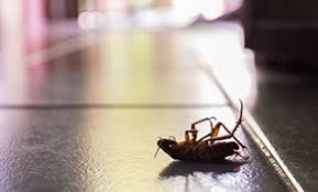 Greg l otterstein city state zip: Top 10 Best Pest Exterminators In Kansas City Mo Angi