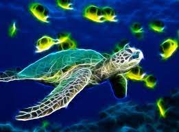 Sea Turtle Animated Wallpaper Preview Sea Turtle Wallpaper Turtle Wallpaper Turtle