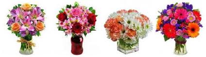 We did not find results for: The 8 Best Options For Flower Delivery In Rapid City San Diego 2021