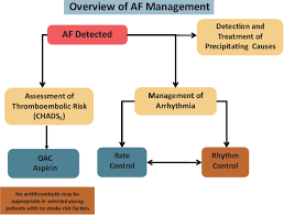 Image result for Atrial Fibrillation Rhythm Control