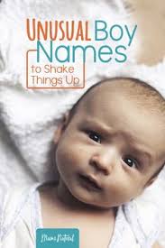 David Koger (dkoger17)