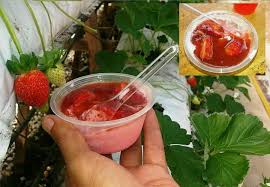 Resepi Aiskrim Strawberry Cameron