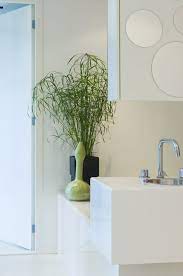 We did not find results for: Quelles Plantes Installer Dans Sa Salle De Bains