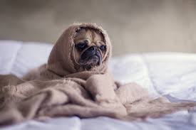 I had to wake up at 5am, a time that was usually time to go to bed, not get out of bed. Can T Sleep 12 Journaling Prompts To Help