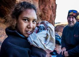 The 11th TRAPPING SURVEY