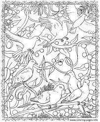 This page with printable coloring pages for christmas is one out of many pages with original and funny and cute coloring sheets. Adult Christmas Birds Coloring Pages Printable
