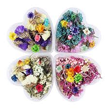 The most luxurious flowers in a bespoke box right to your doorstep. Born Pretty 1 Box Mixed Dried Flowers Nail Art Diy Preserved Flower With Heart Shaped Box Glass Bottle Decor 4 Patterns Buy Online In Bahamas At Bahamas Desertcart Com Productid 65618765