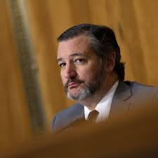 American Airlines' campaign donations to Ted Cruz under fire from LGBT  equality campaign