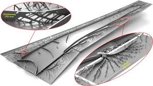 Image result for Maximum Steel 2017 200