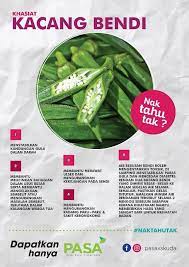 Daftar harga kacang bendi (okra) terbaru bulan ini. Facebook