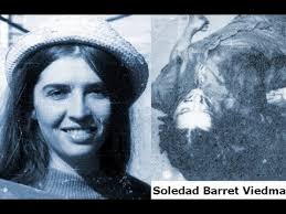 Mamãe, mamãe, não chore: homenagem a Gal Costa