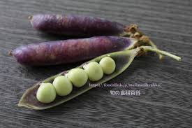 FoodsLink.jp フーズリンク