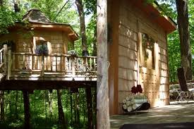 For the love of trees,