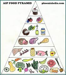 aip food pyramid