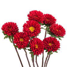 Red Matsumoto Aster Flower Bulk Flowers J R Roses Wholesale Amazing Flowers Aster Flower Flower Care