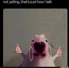 Not Yelling That S Just How I Talk Ifunny Stupid Memes Reaction Pictures Wholesome Memes