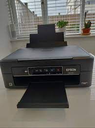 Since updating to the new version of window 10 (april update) epson scan will not launch or will freeze indefinitely after launching, using preview or pressing the scan button. Epson Xp 245 Printer