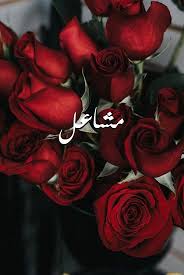 صور اسم مشاعل صور رومانسية بالورد Imagez