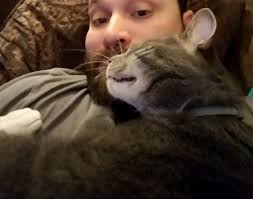 I found a male cat at a gas station in Blountville Tennessee! He had