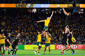 Maybe you would like to learn more about one of these? One Percenters Is Adelaide Next Stop On Bledisloe Cup Trail Latest Rugby News Rugby Com Au
