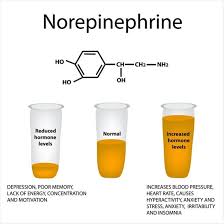 Pin On Medicine Psychology