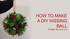 This is my handmade kissing ball…a winter version of the hanging basket. How To Make A Diy Kissing Ball For Christmas Wholesale Dutch Flowers Direct Uk