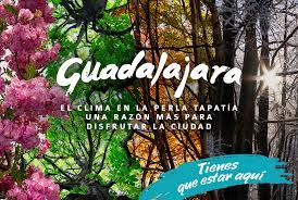 México estado de jalisco guadalajara. El Clima De Guadalajara Una Razon Mas Para Disfrutar La Ciudad