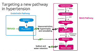 Image result for Aprocitentan