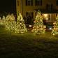 Marshall Plan Tree Walk Lighting Ceremony event in Leesburg, VA