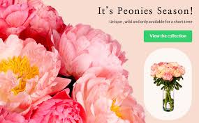 Our united kingdom florists are very skilled and experienced, and our flower shop is able to send flowers for almost any occasion you can think off; Same Day Flower Delivery In Germany Regionsflorist De