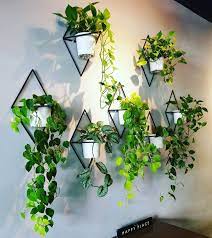 Plant Wall Hanger Indoor Wall Plants Indoor Hanging Plants Indoor Indoor Plant Wall