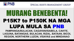 Pnb Lots For Sale As Low As P15k To P150k Foreclosed Properties Lots Farm Residential Areas Youtube Foreclosed Properties Foreclose Lots For Sale