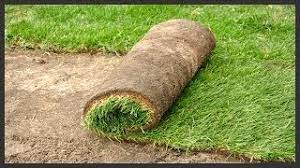 Check spelling or type a new query. San Diego Sod Farm Sod Delivered Daily 760 789 8010