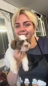 Hi everyone! I'm the owner of Elle&Bell Dog Grooming based at the 'Dog  retreat Spa' in Northwich town. Do you have a new puppy? Puppy packages are  the best way to get
