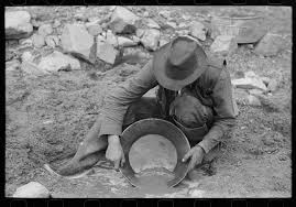 Prospector washing a "pan" of gold-bearing dirt. Pinos Altos ...