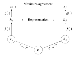 A Simple Framework For Contrastive Learning Of Visual Representations Visual Representation Learning Supervised Learning