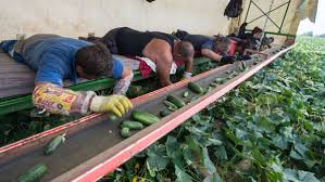 In irlanda, daca scot bani de la atm costa ceva marunt dar poti scoate bani cu cardul de la marile magazine folosind. Servicii Romanesti In Uniunea Europeana Acest Site Trebuie Studiat Obligatoriu De Toti Cetatenii Romani Care Doresc Sa Se Stabileasca Intr O Tara U E