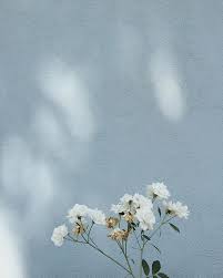 Las Dos Reinas Es Una Cinta Biografica September 2016 White aesthetic aesthetic photo aesthetic pictures quotes about photography tumblr photography photography flowers story instagram instagram feed nature quotes.